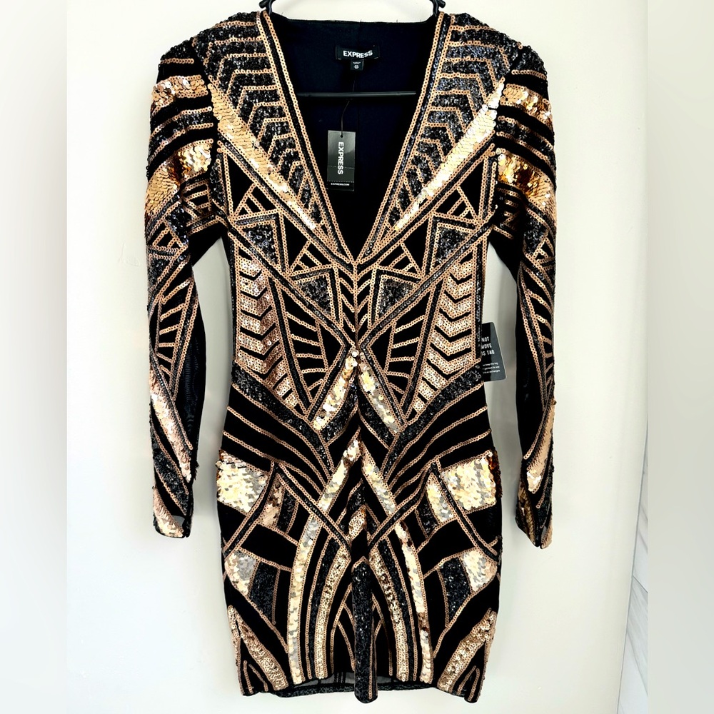 Express Geometric Sequin Dress